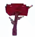 Horned Dinoshroom