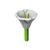 Moon Flower