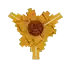 Sun Coil